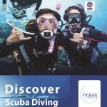 Ocean Diving Center